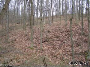 0 C Road St. Marys, WV 26170 - Photo 2 of 3