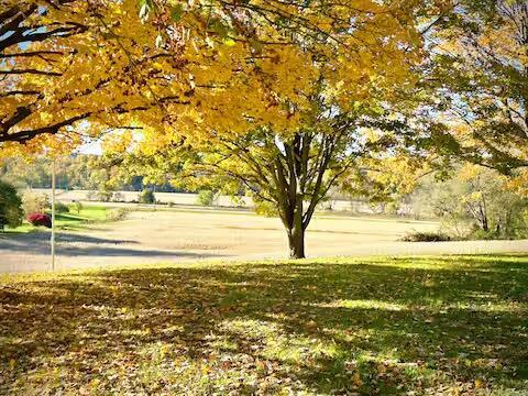 697 State Rte 97 East Bellville, OH 44813 - Photo 5 of 25 5