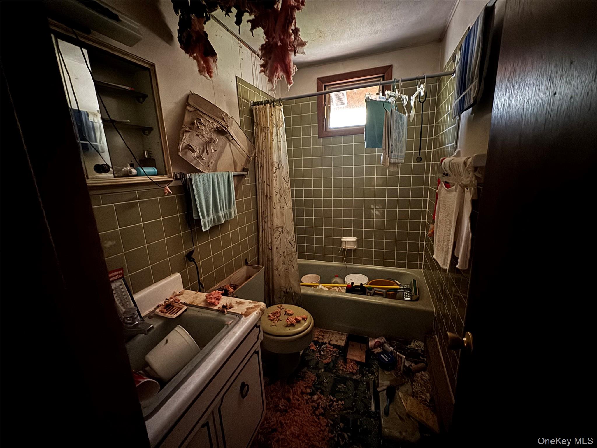 319 North Lake Road Hunter, NY 12436 - Photo 13 of 18