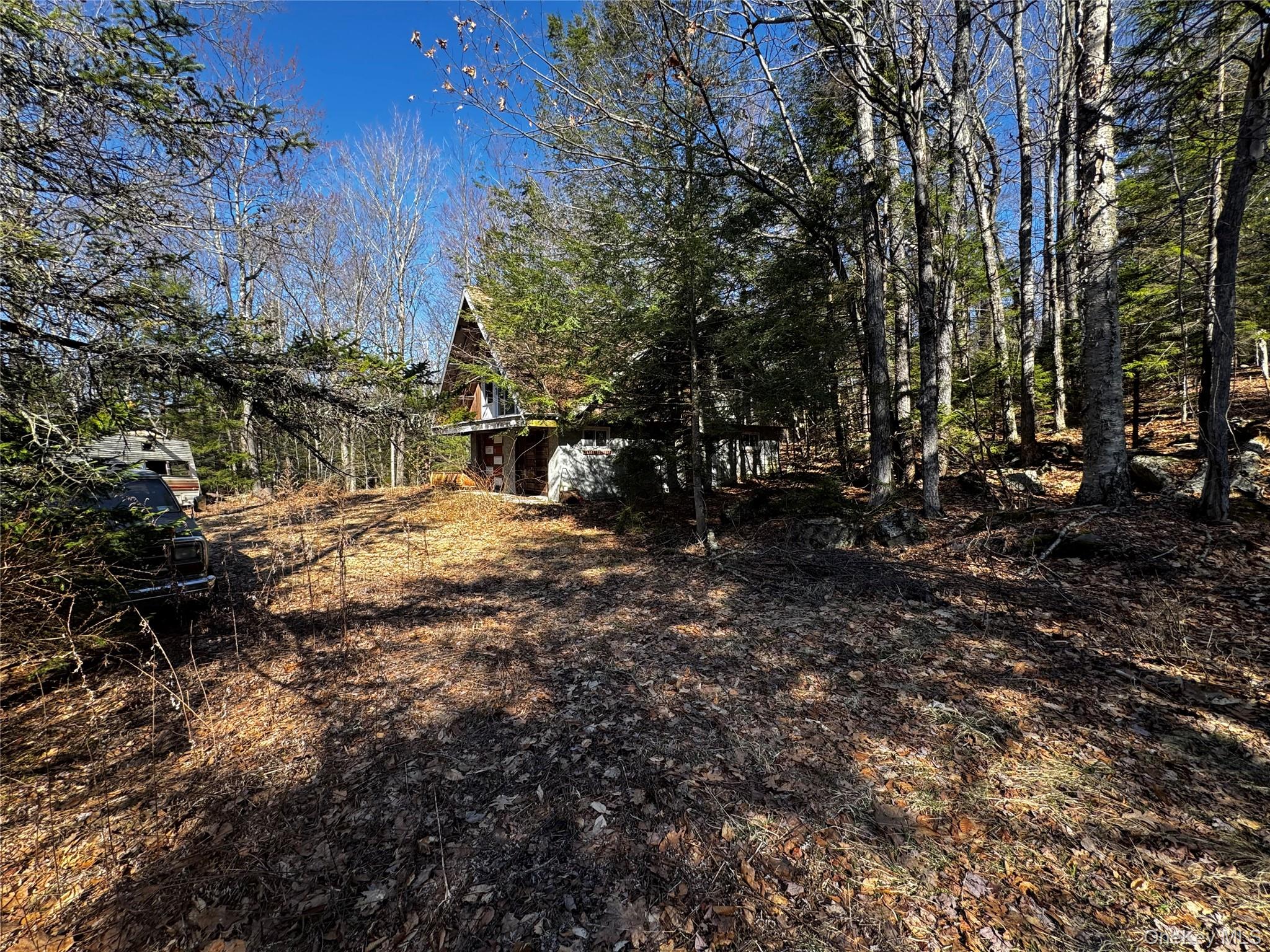 319 North Lake Road Hunter, NY 12436 - Photo 16 of 18