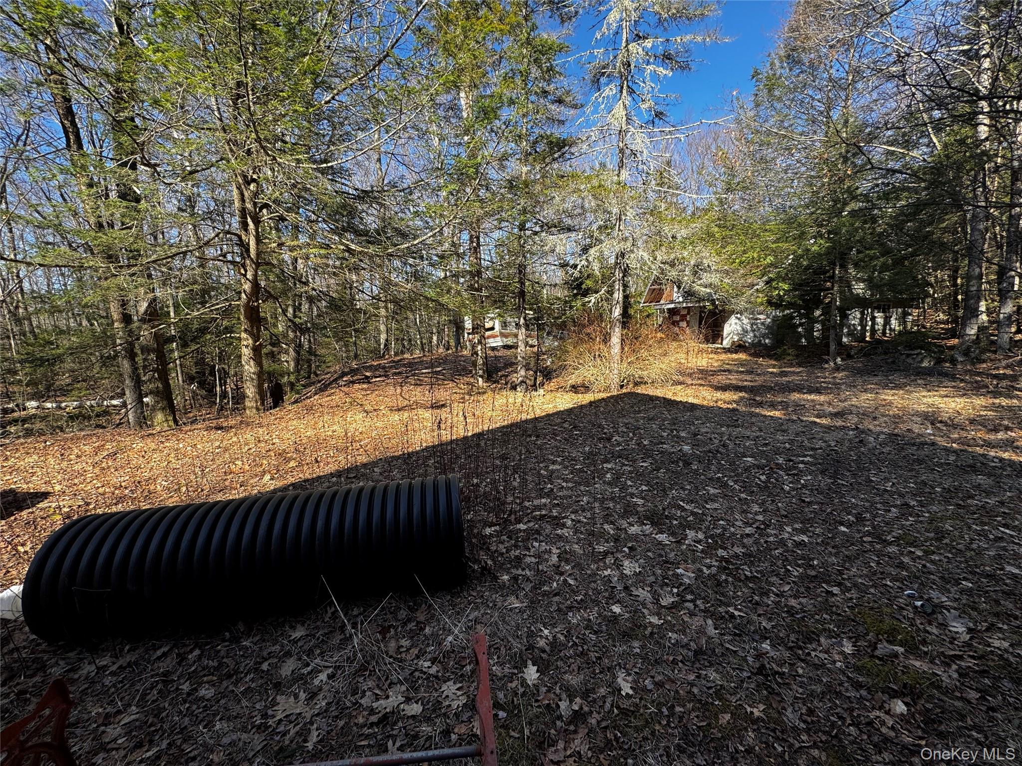 319 North Lake Road Hunter, NY 12436 - Photo 17 of 18