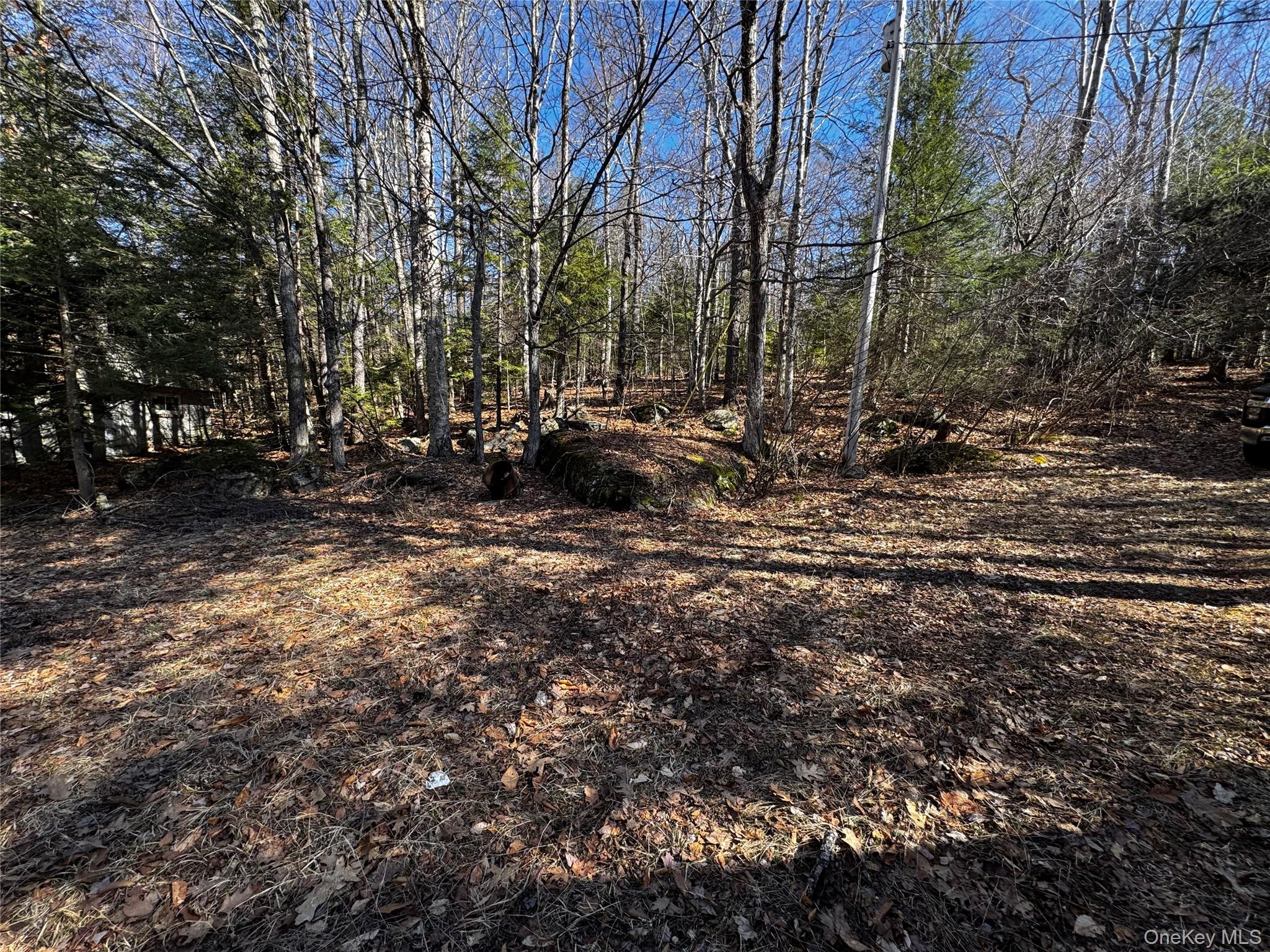 319 North Lake Road Hunter, NY 12436 - Photo 18 of 18