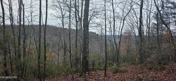 $75,000 | 786 Eastridge Pass, Monterey, TN 38574