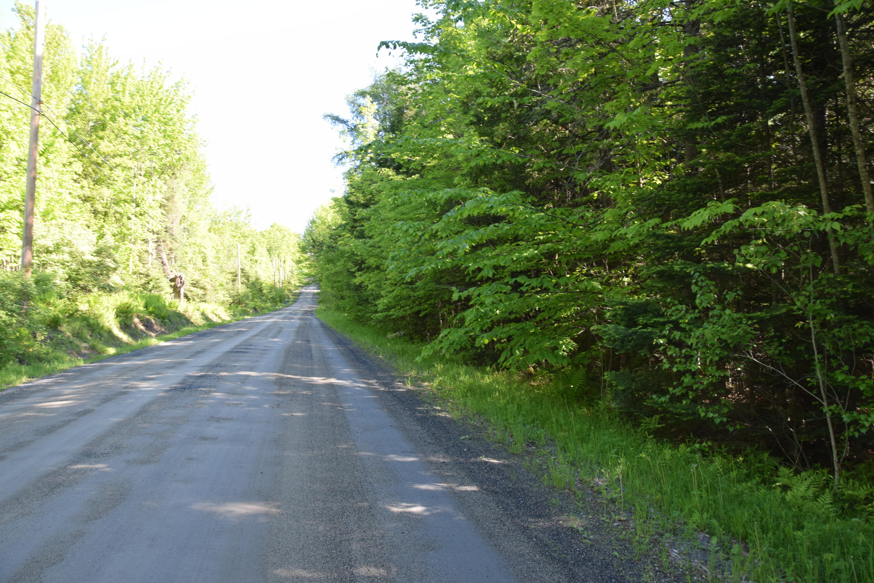 M10-l6-1 Hancock Pond Road New Portland, ME 04961 - Photo 2 of 30 DSC_0002