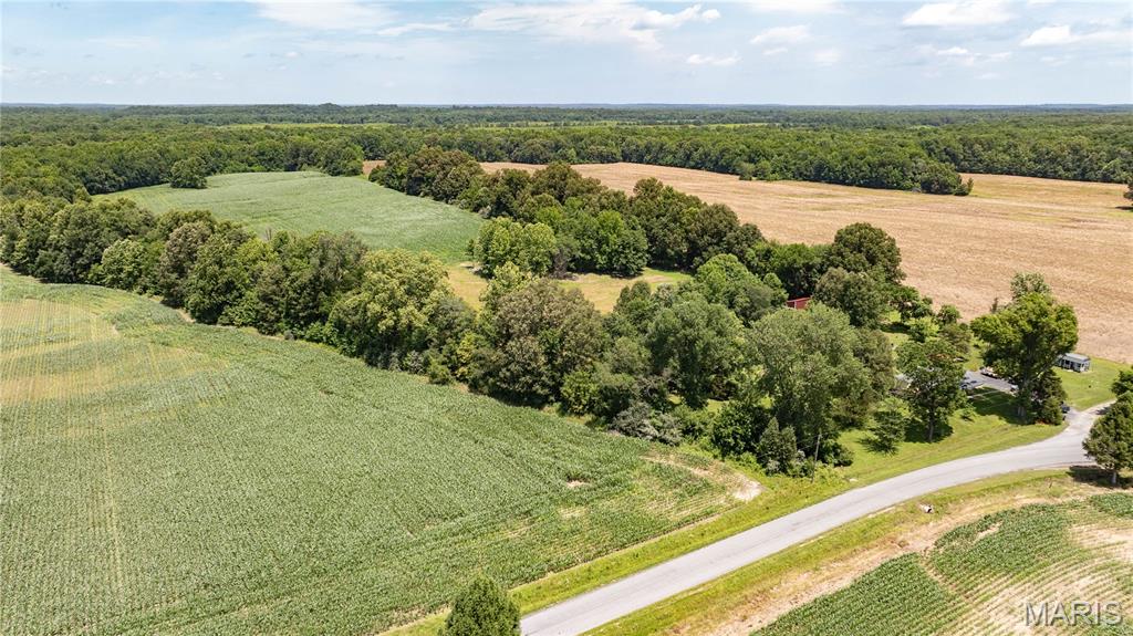 9480 Battleford Road Stonefort, IL 62987 - Photo 10 of 54