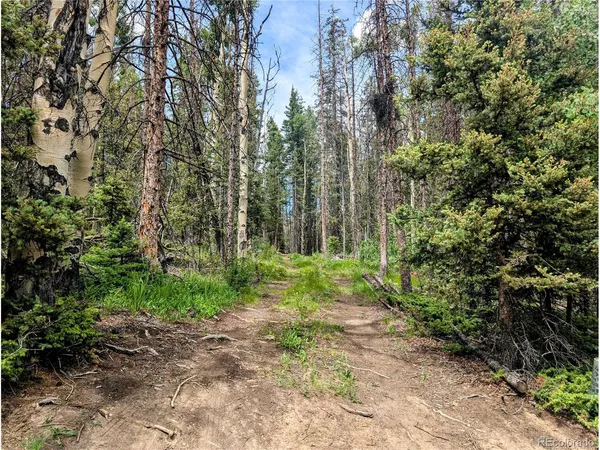$64,000 | 8 Phillips Road, Fort Garland, CO 81133
