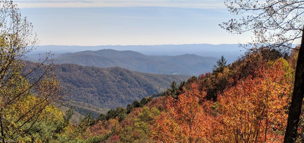 15880 Sparta Road McGrady, NC 28649 - Photo 19 of 19 Gallery Image 19