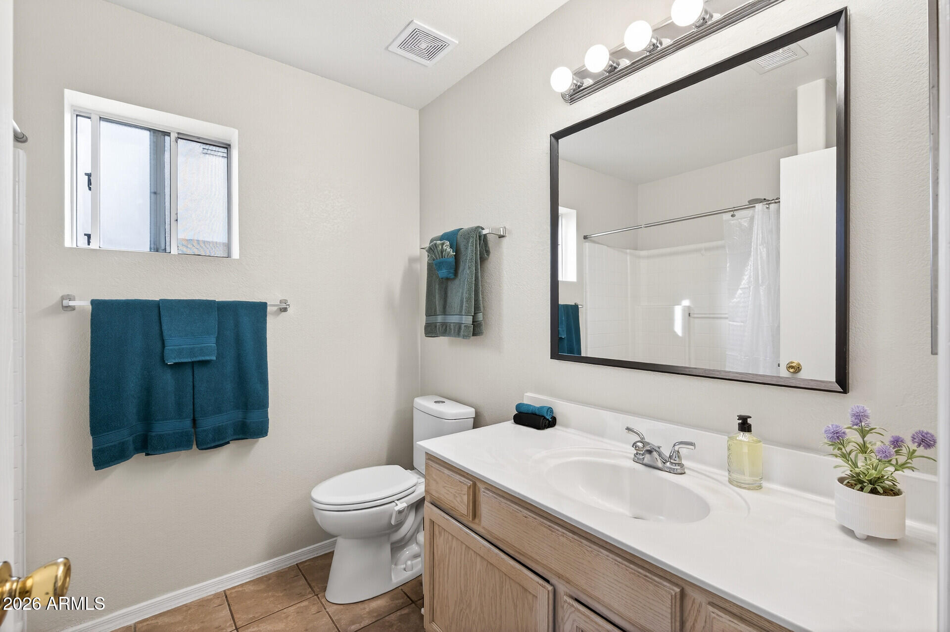 9502 East Flanders Road Mesa, AZ 85207 - Photo 24 of 47 Primary Bathroom