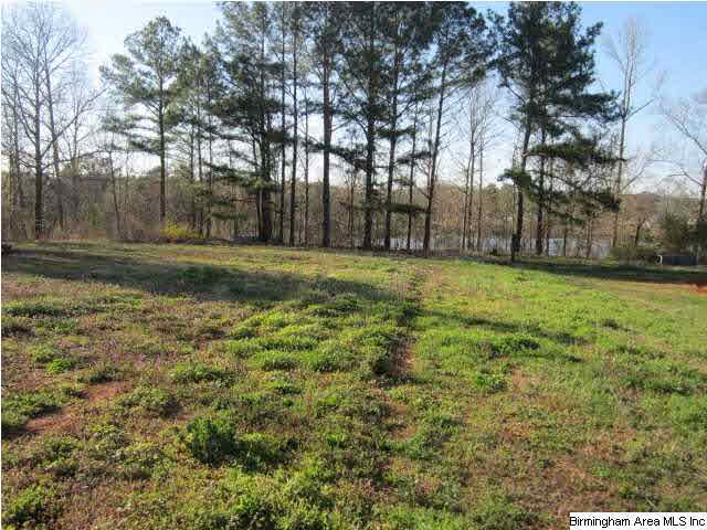 215 Craft Road Talladega, AL 35160 - Photo 17 of 18