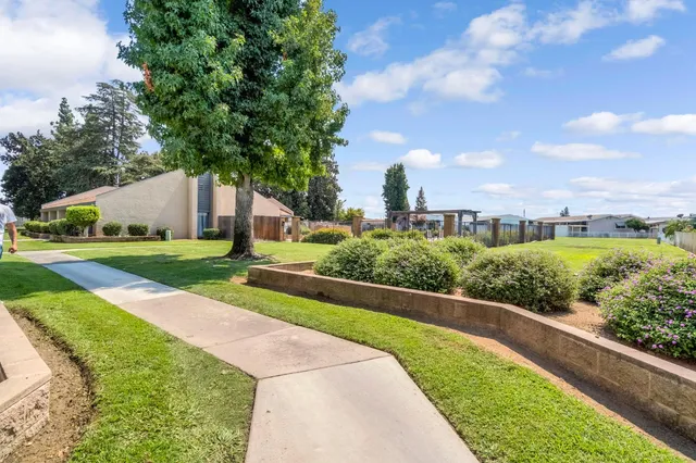a view of a park with large trees
