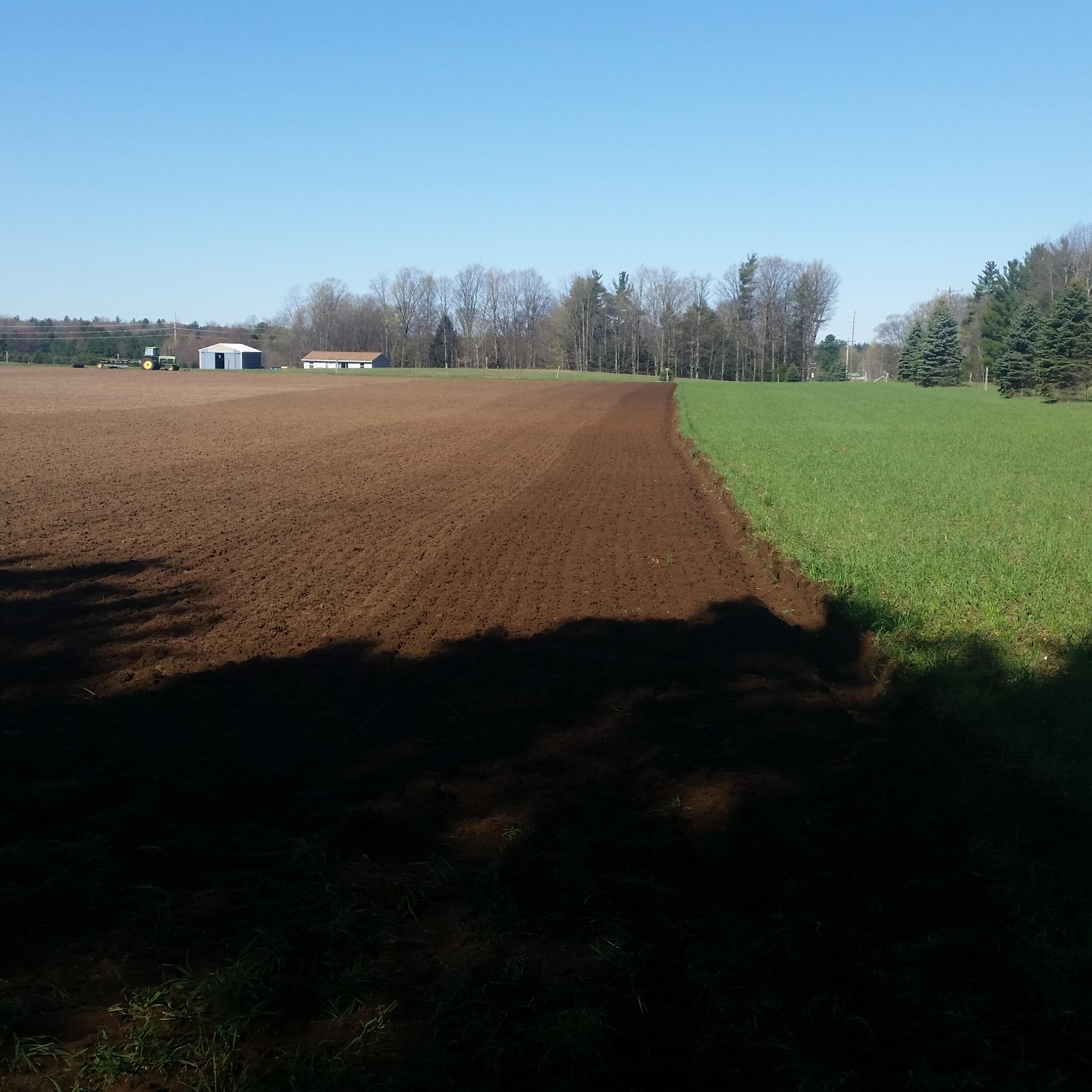 Johnson Road Kaleva, MI 49645 - Photo 2 of 20 207