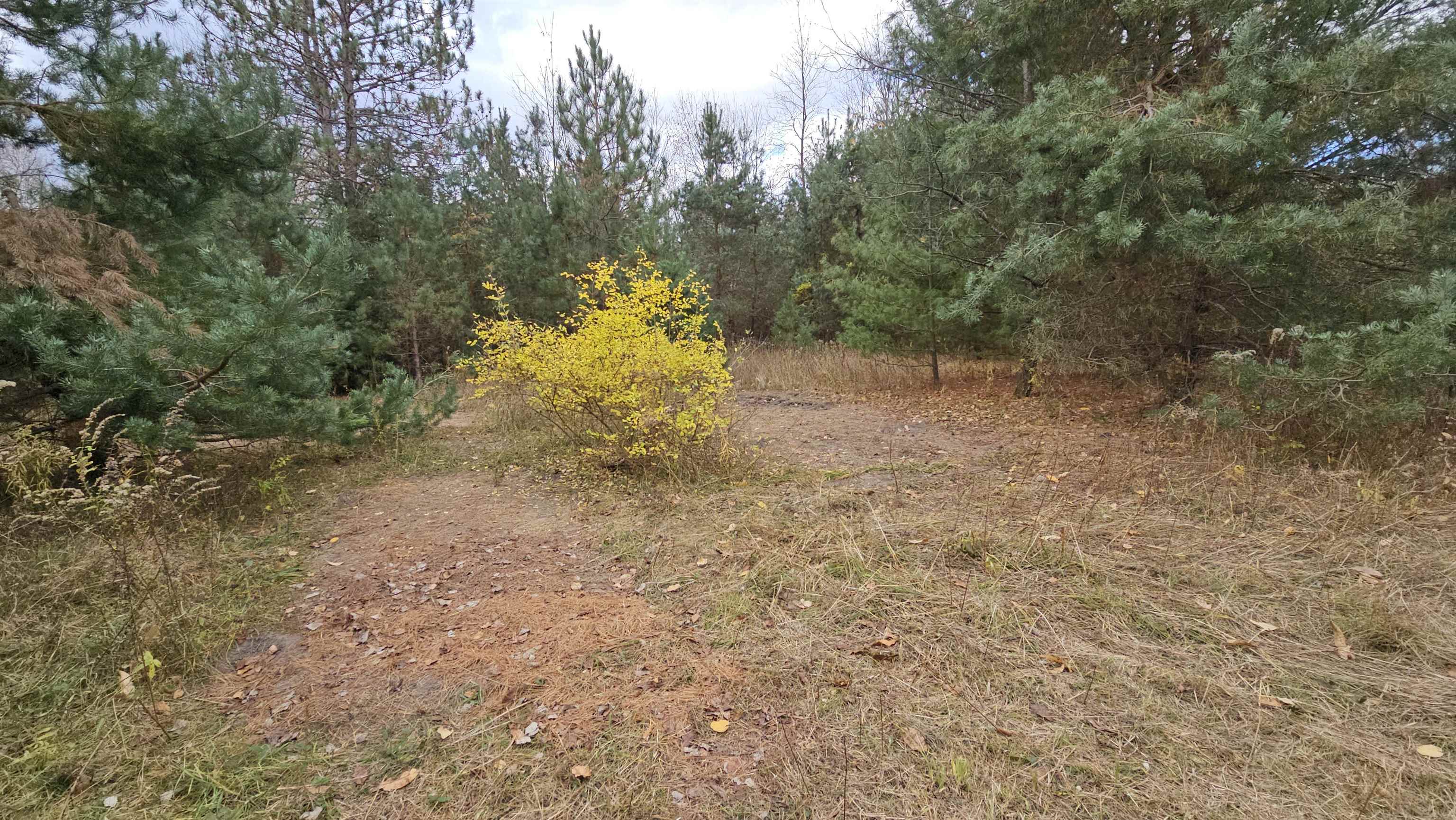 0 Gerald Miller Road West Branch, MI 48661 - Photo 9 of 12 1928453-c99cd94a-bd2d-40b5-a193-dbf854608f7c.JPG