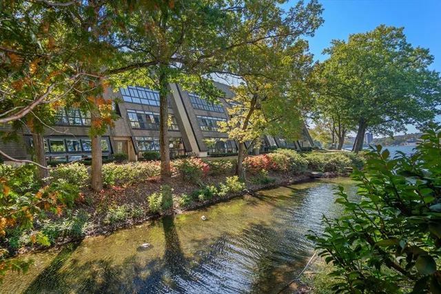 a view of a large yard with plants and large trees