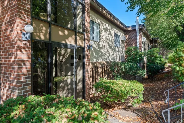 a view of a large yard with plants and large trees