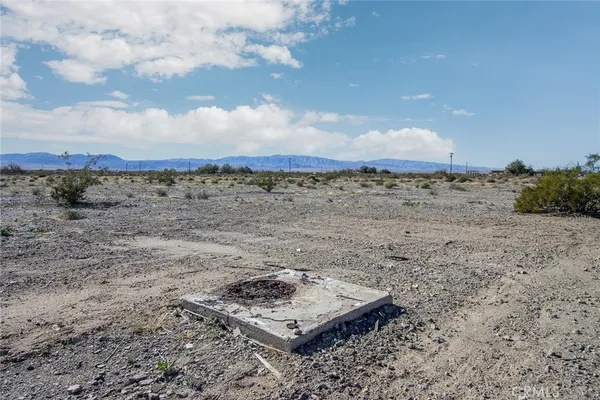 a view of a dry yard with trees