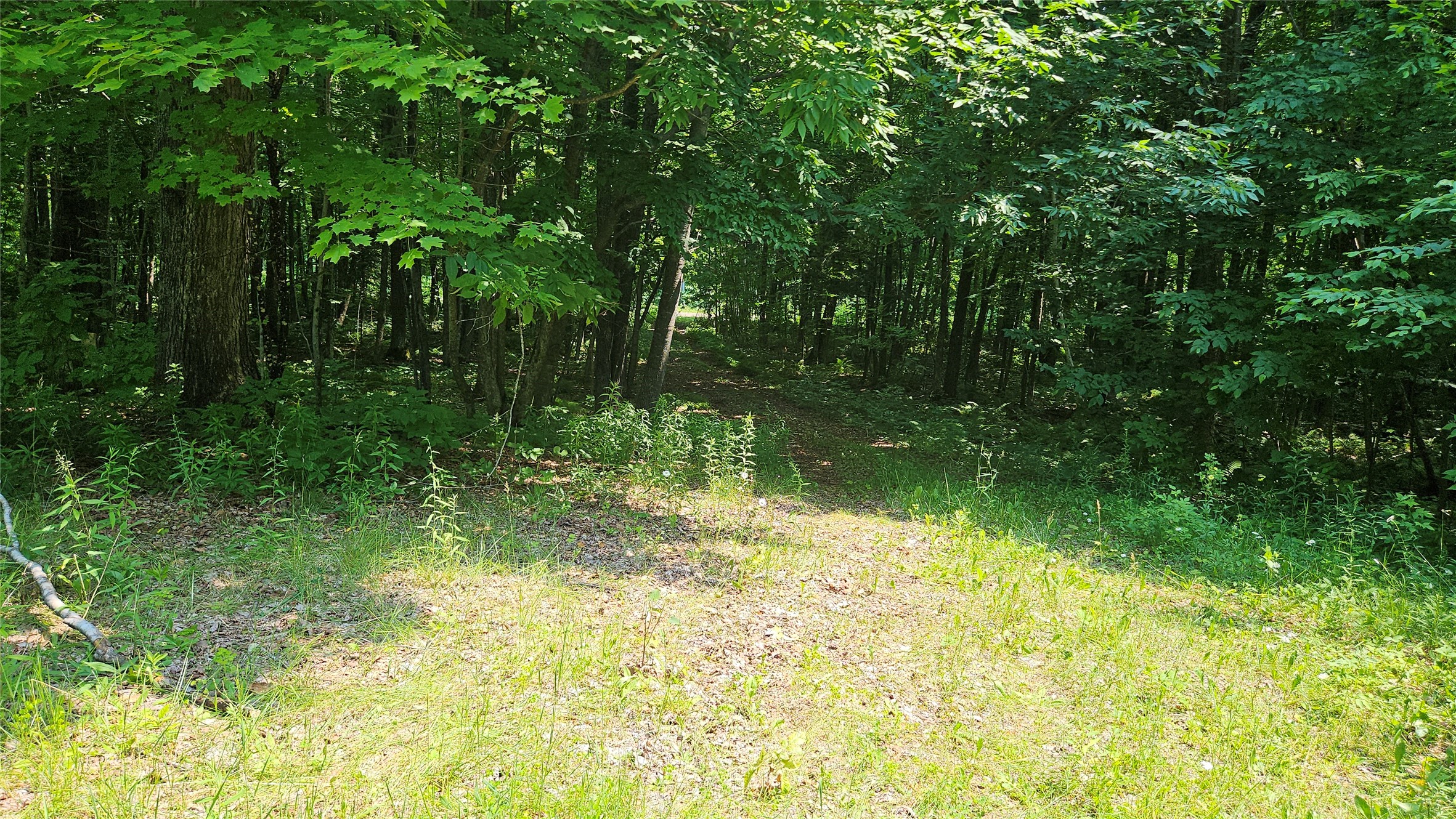 4687 Valesh Road Couderay, WI 54828 - Photo 12 of 12