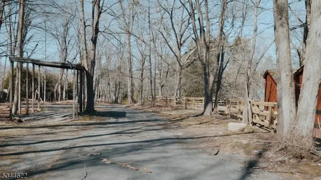 a view of a yard with large trees