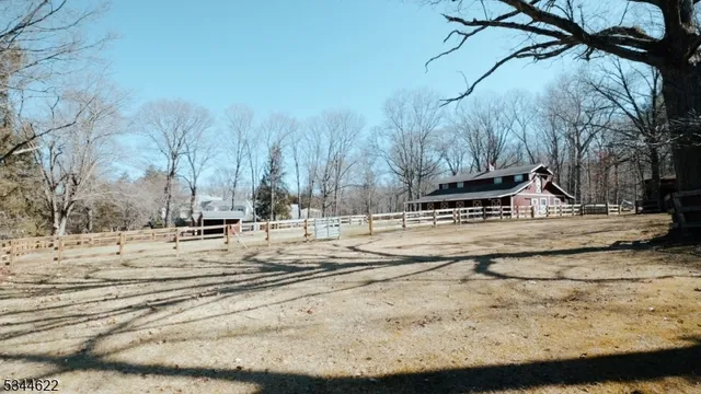 a view of a yard with trees on the road