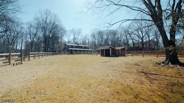 a view of a yard with large trees