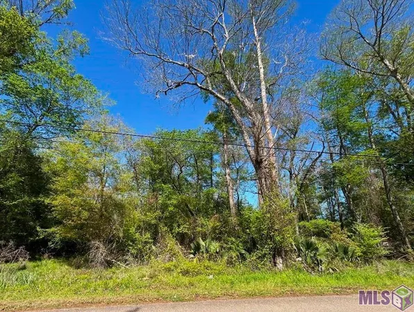 $54,900 | Lot 24 La Trace Road, French Settlement, LA 70733
