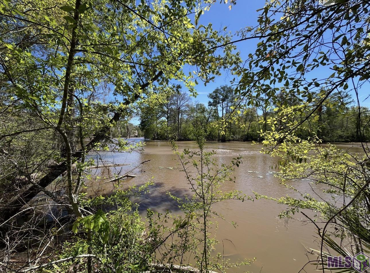 Lot 24 La Trace Road French Settlement, LA 70733 - Photo 4 of 5