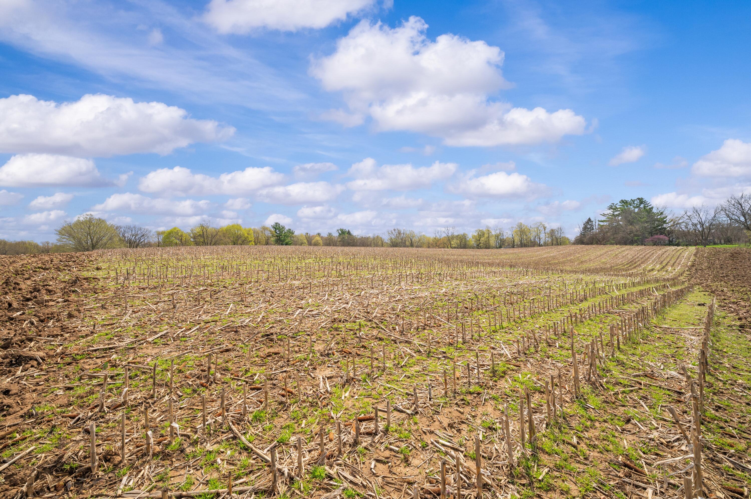 Lot C Broceus School Road Buchanan, MI 49107 - Photo 5 of 23 Ground View