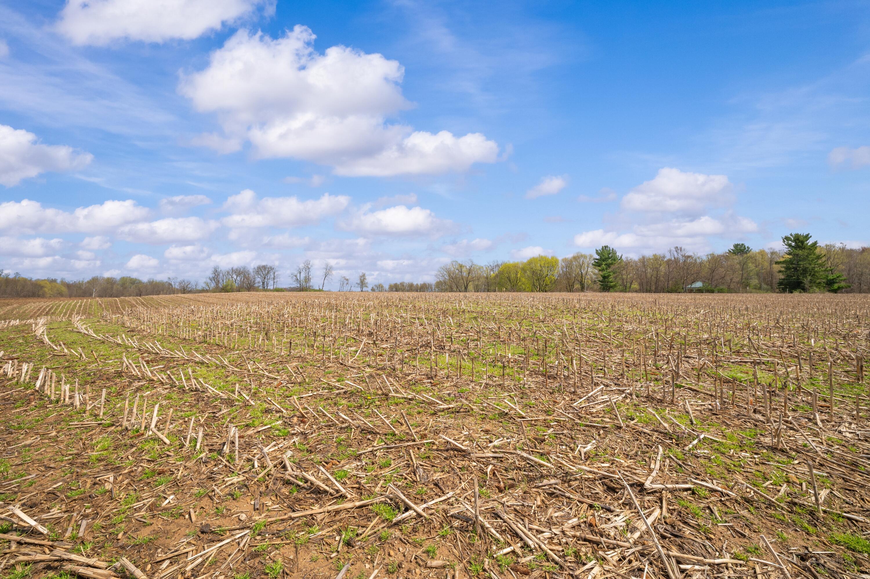 Lot C Broceus School Road Buchanan, MI 49107 - Photo 6 of 23 Ground View