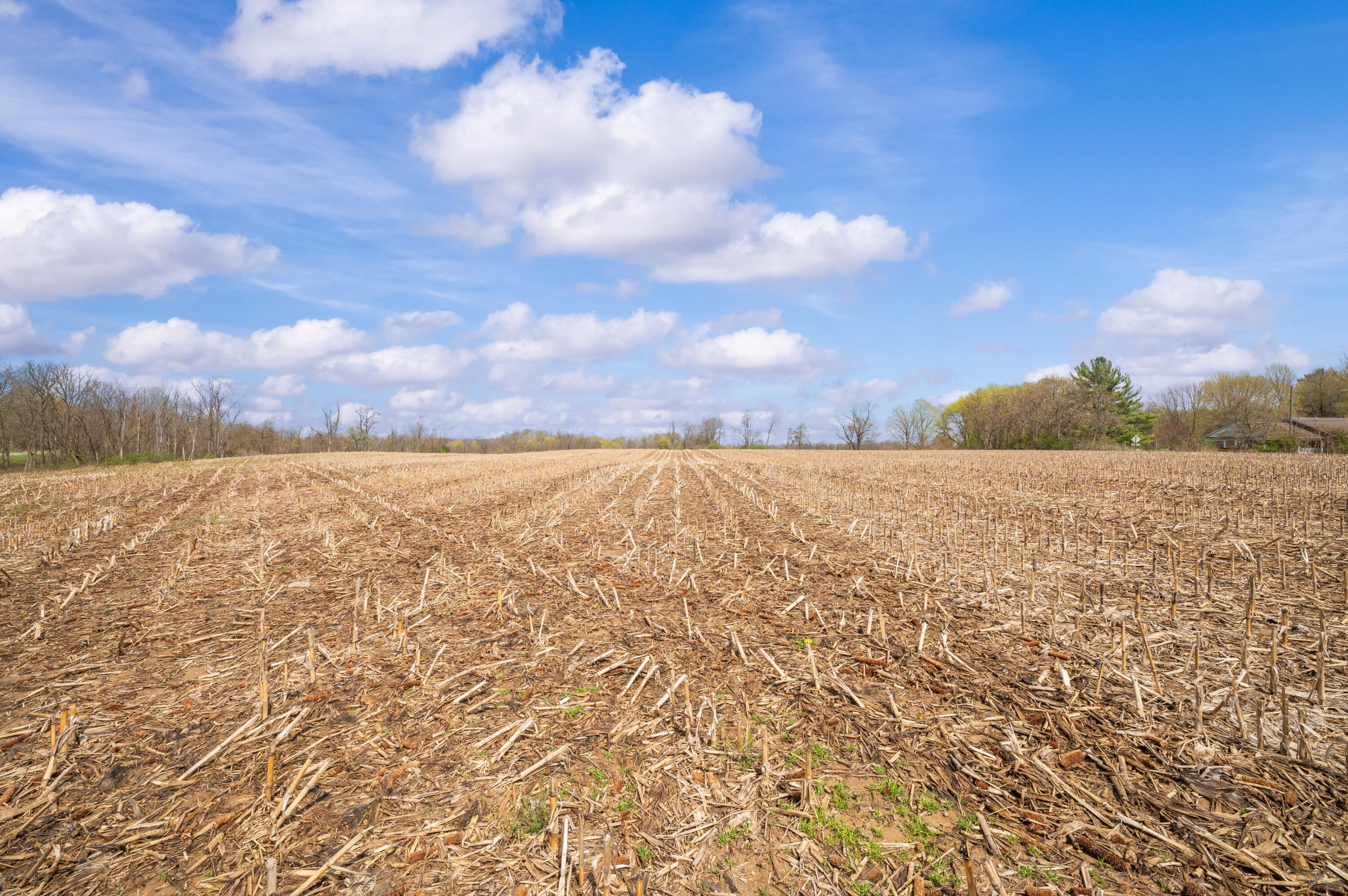 Lot C Broceus School Road Buchanan, MI 49107 - Photo 7 of 23 Ground View
