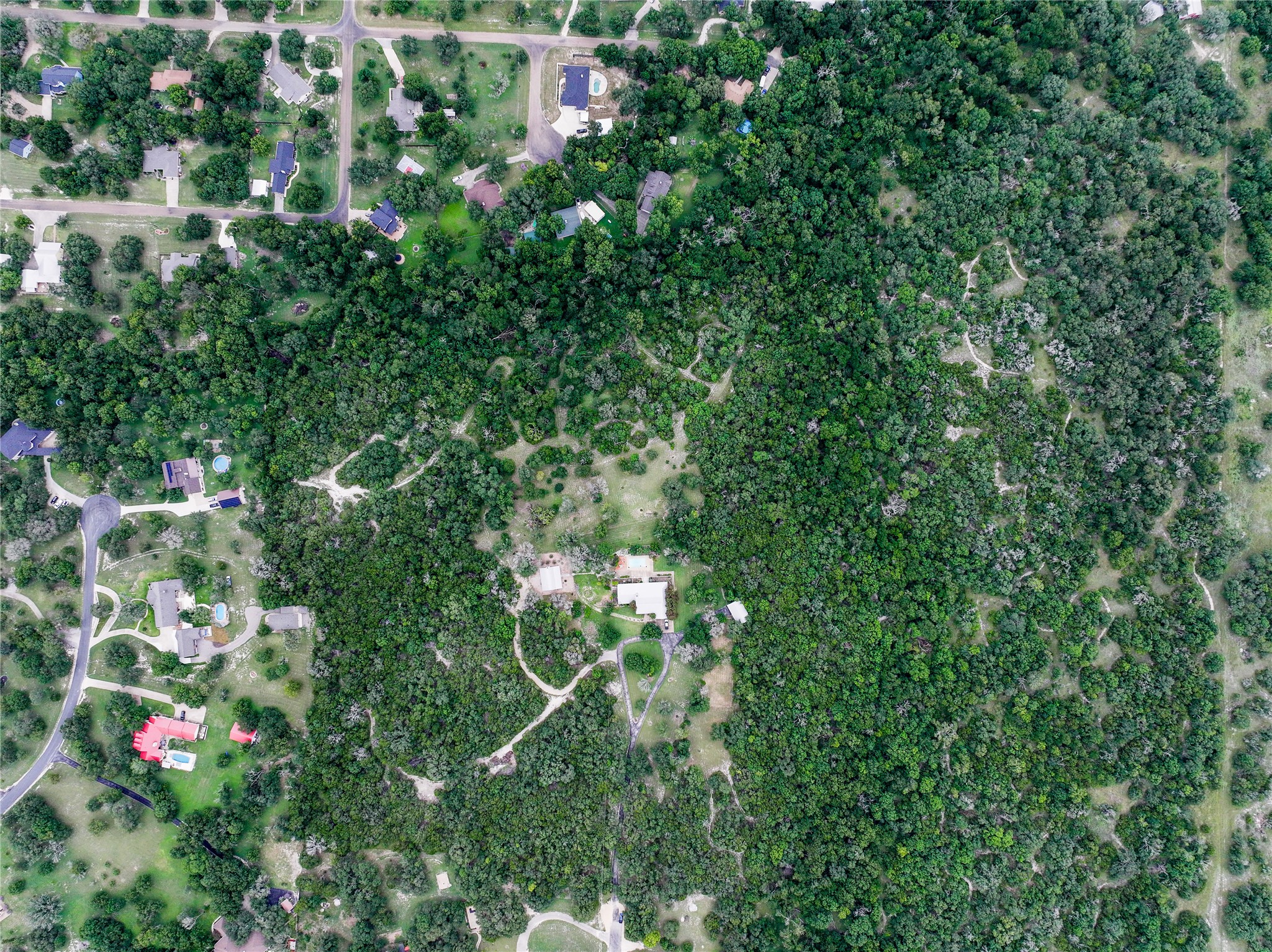 13730 Settlements Road Salado, TX 76571 - Photo 34 of 40 a view of flowers in bunch