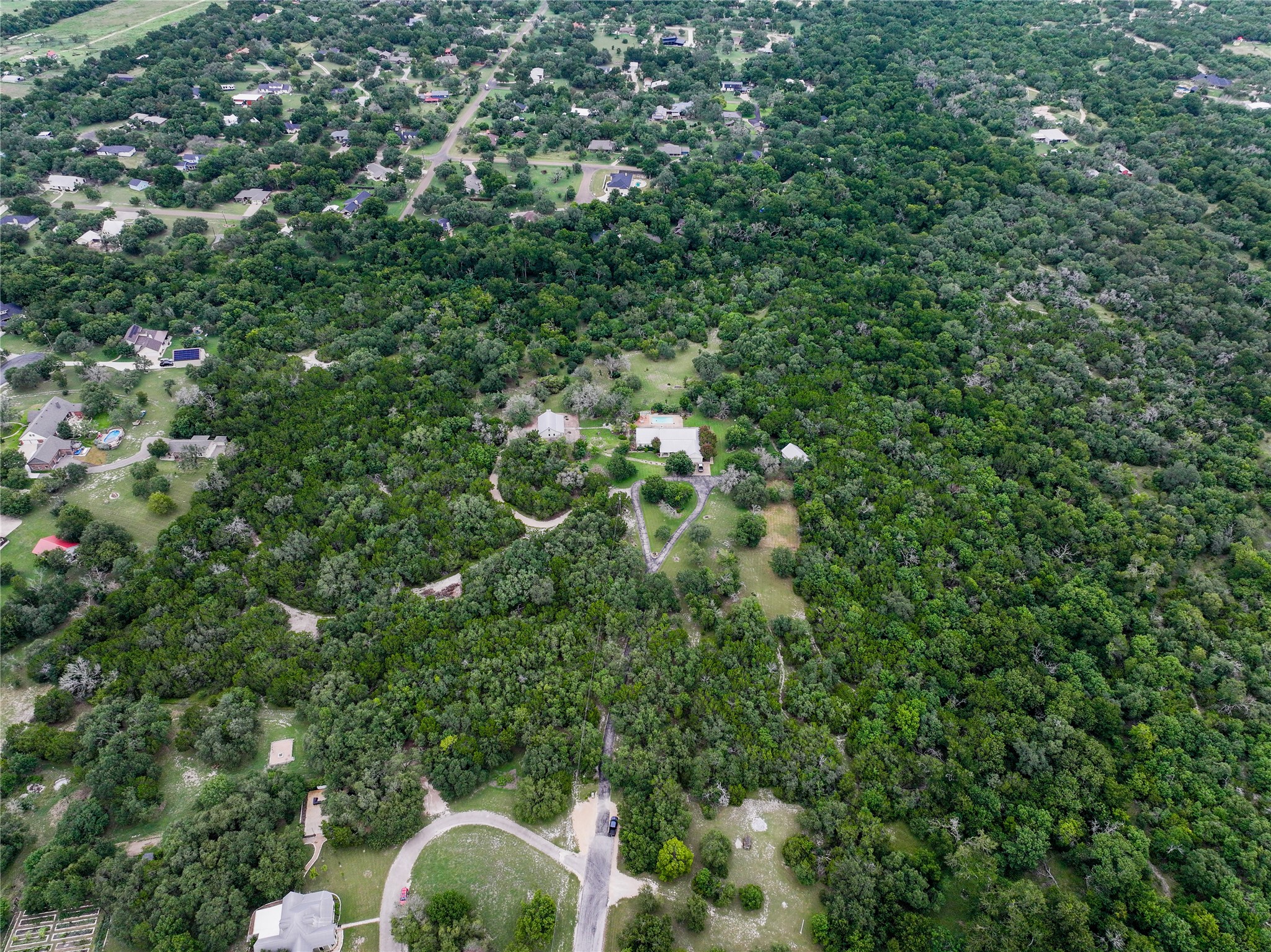 13730 Settlements Road Salado, TX 76571 - Photo 35 of 40 a view of a forest