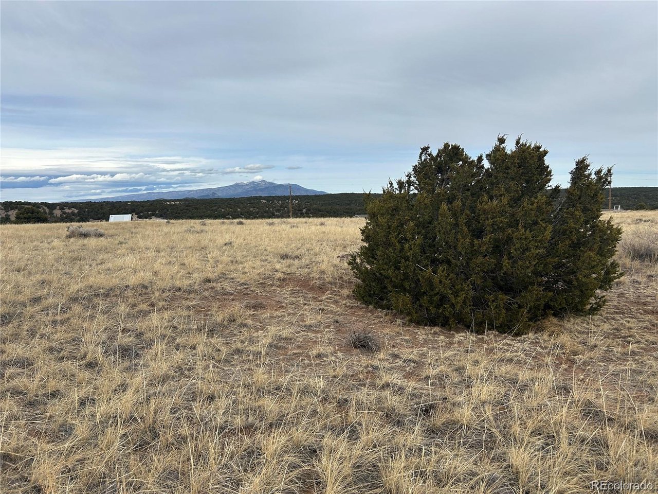 78 Navajo Ranch Walsenburg, CO 81089 - Photo 7 of 16