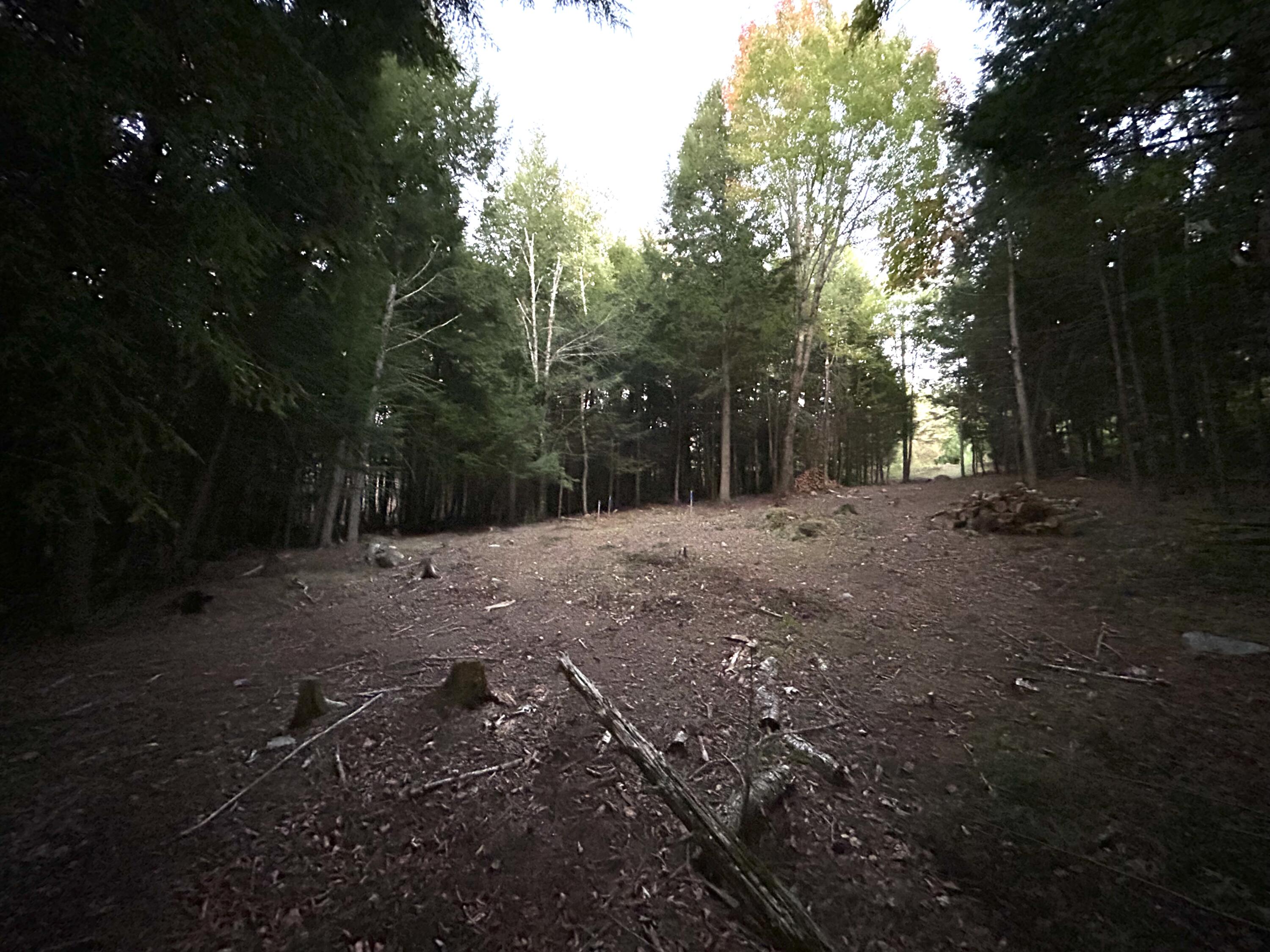 Lot #8 Kolm Road Garland, ME 04939 - Photo 4 of 17 image0