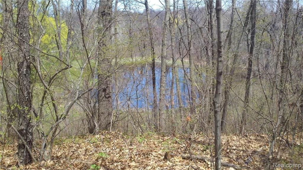 V/l V/l Doyle Road Pinckney, MI 48169 - Photo 8 of 24