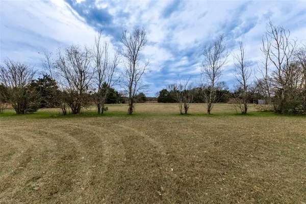 a view of yard with trees