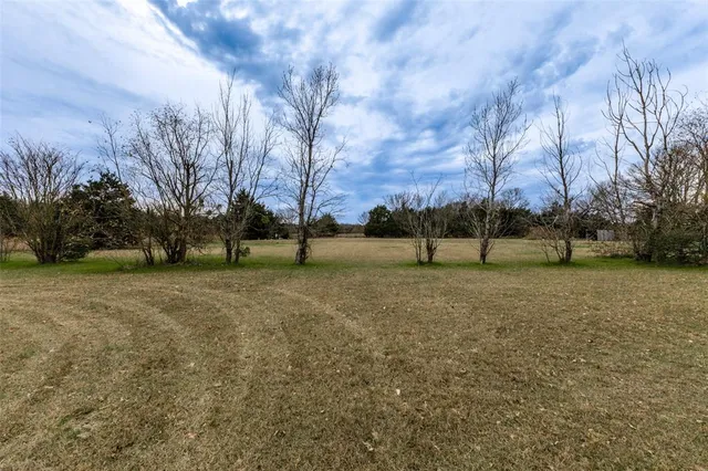 a view of yard with trees