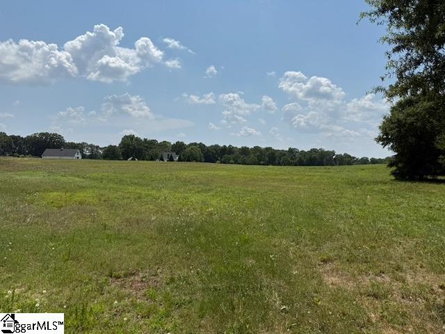 0 Cooper Lake Road Simpsonville, SC 29681 - Photo 2 of 2