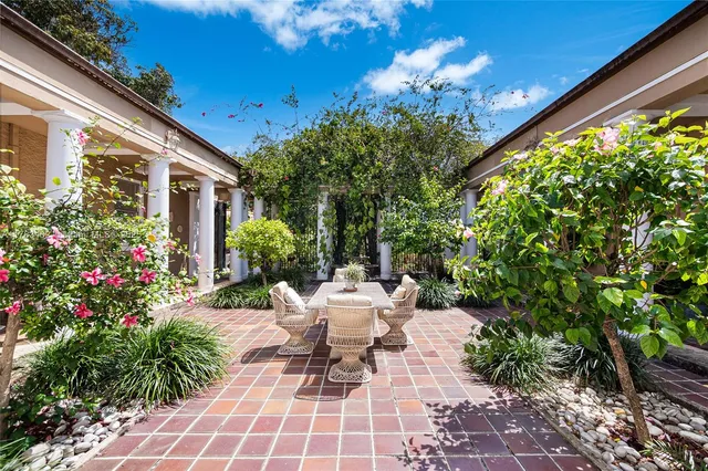 a view of a pathway with plants