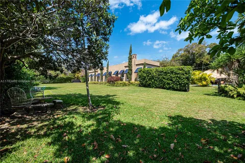 a view of a park with large trees