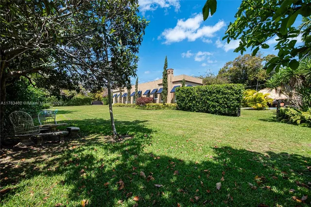 a view of a park with large trees