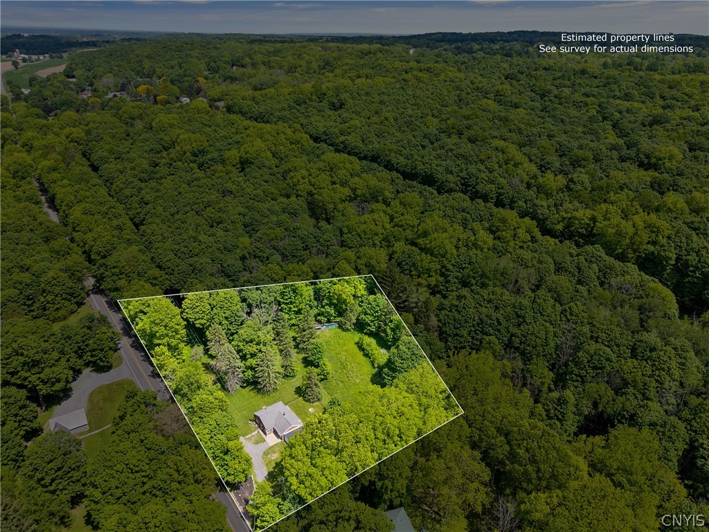 2696 Lyons Road Camillus, NY 13031 - Photo 30 of 31