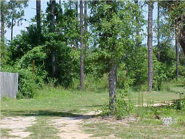 3926-1 Reinhardt Village Road Milton, FL 32583 - Photo 2 of 9 Gallery Image 2
