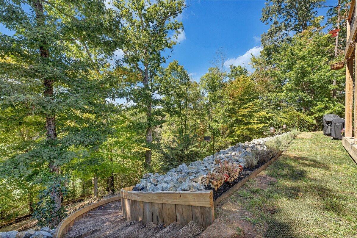 41 Old Point Road Moneta, VA 24121 - Photo 92 of 99 05-MIB04641