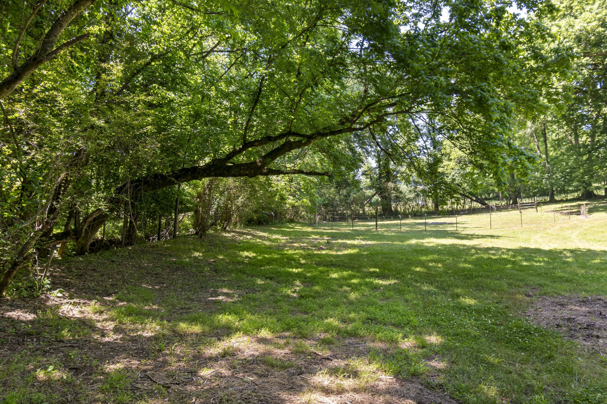 1985 Frank Moore Road Culleoka, TN 38451 - Photo 47 of 68 Gallery Image 47