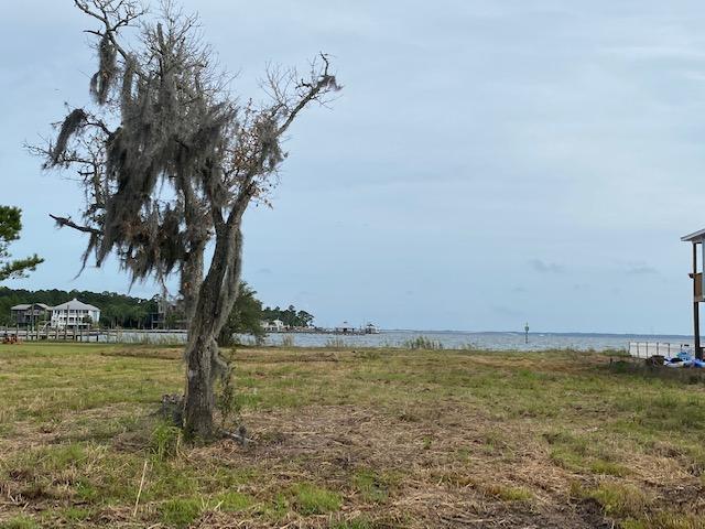 Tbd Beatrice Point Road Freeport, FL 32439 - Photo 3 of 14 Gallery Image 3