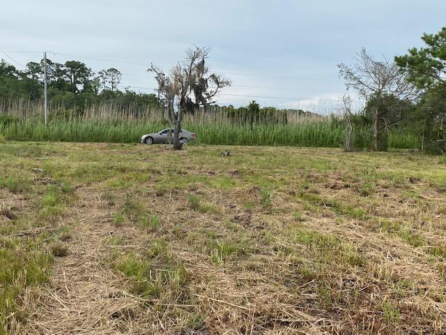 Tbd Beatrice Point Road Freeport, FL 32439 - Photo 4 of 14 Gallery Image 4