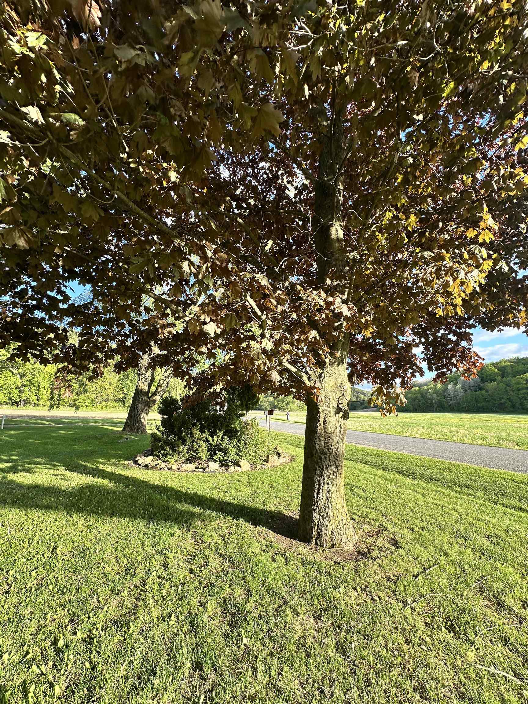 N2224 Wafle Road Mauston, WI 53948 - Photo 29 of 82