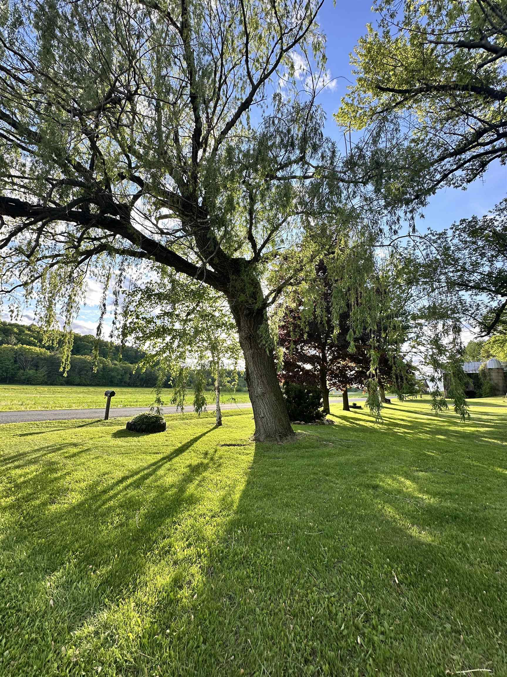 N2224 Wafle Road Mauston, WI 53948 - Photo 33 of 82