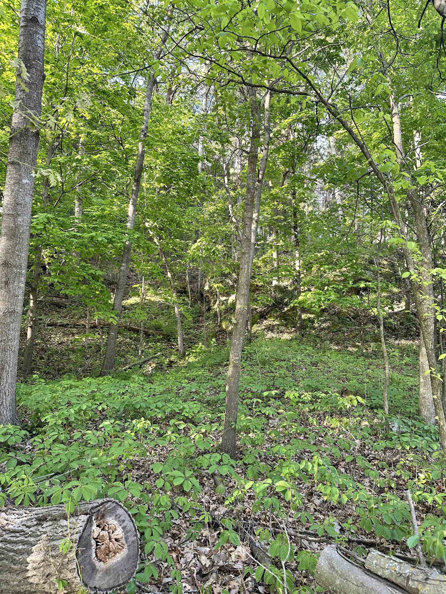 N2224 Wafle Road Mauston, WI 53948 - Photo 44 of 82