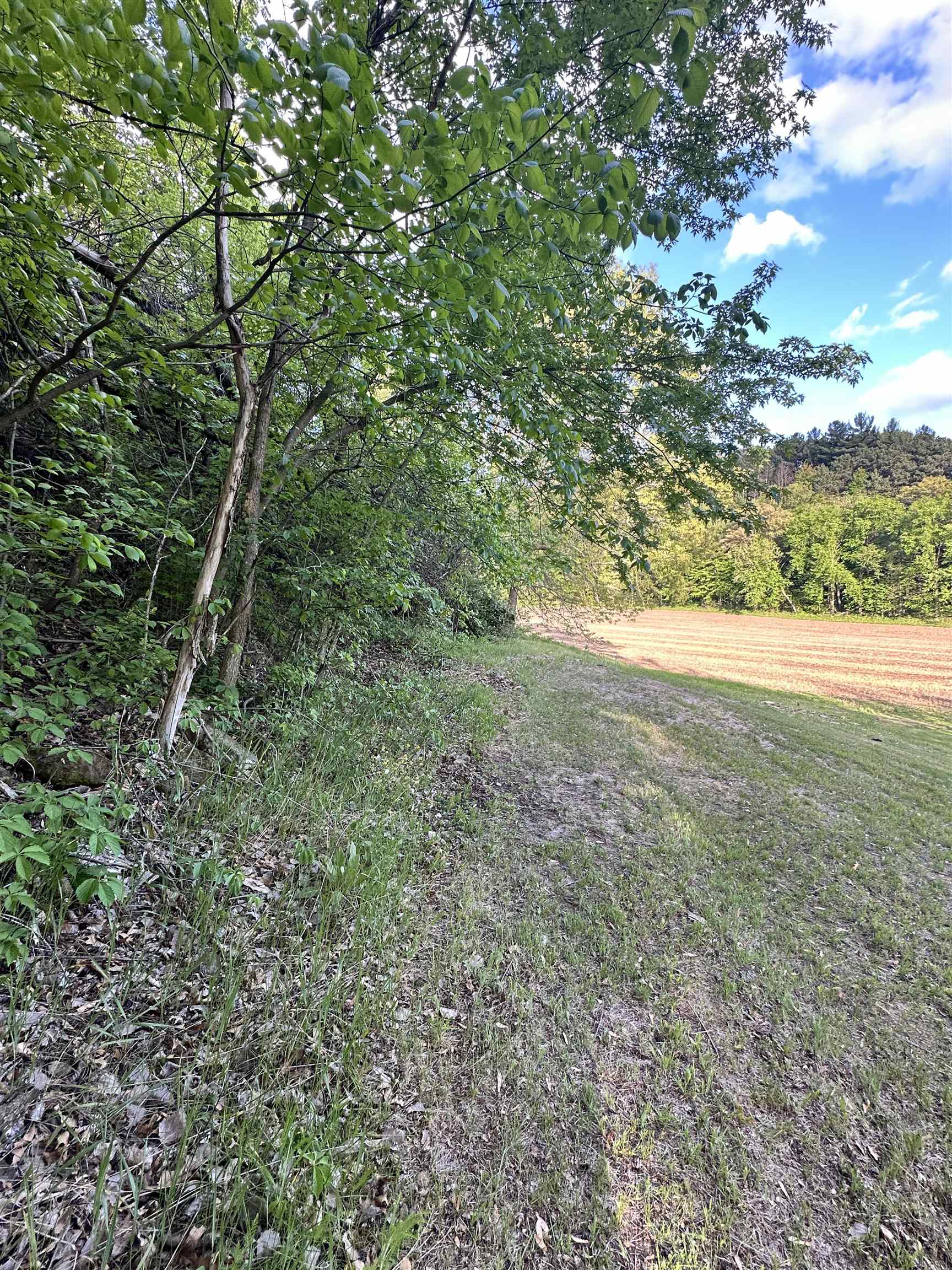 N2224 Wafle Road Mauston, WI 53948 - Photo 46 of 82