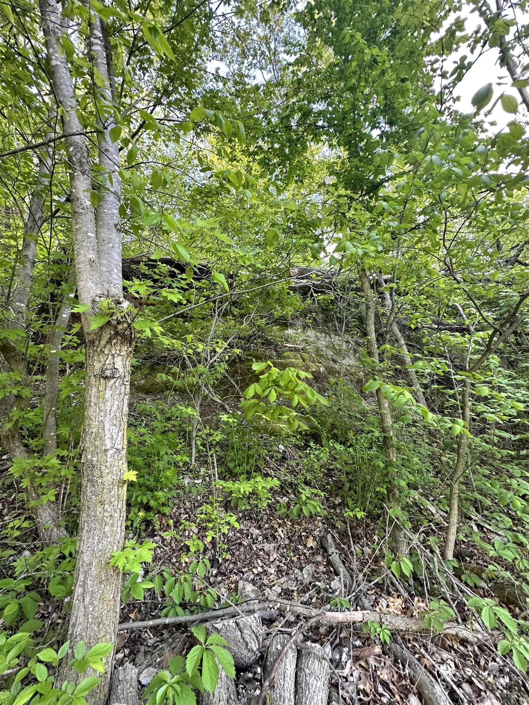 N2224 Wafle Road Mauston, WI 53948 - Photo 47 of 82